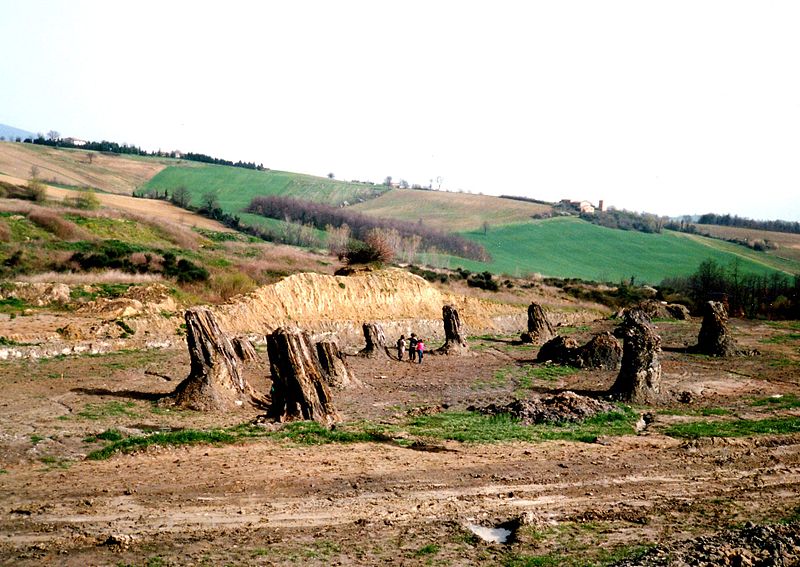 audioguida Monumenti e luoghi d interesse